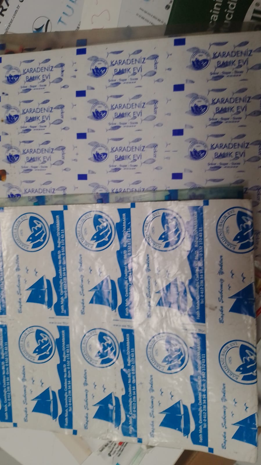 Karadeniz Balık Evi